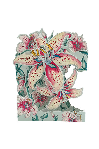 Santoro Felicitare 3D Swing Cards Crini