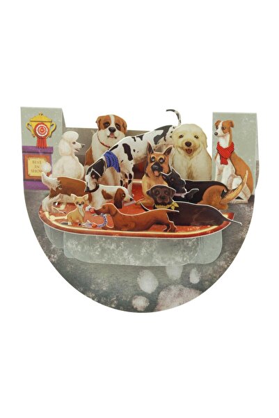 Santoro Felicitare 3D PopnRock Concurs canin