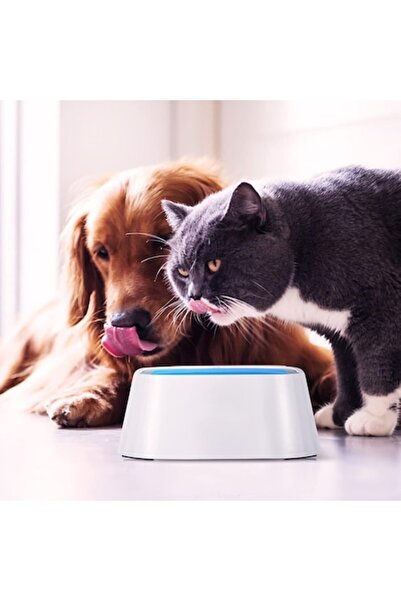 Manolex Bol de apă pentru caini si pisici cu placă plutitoare, capacitate 1,5 l