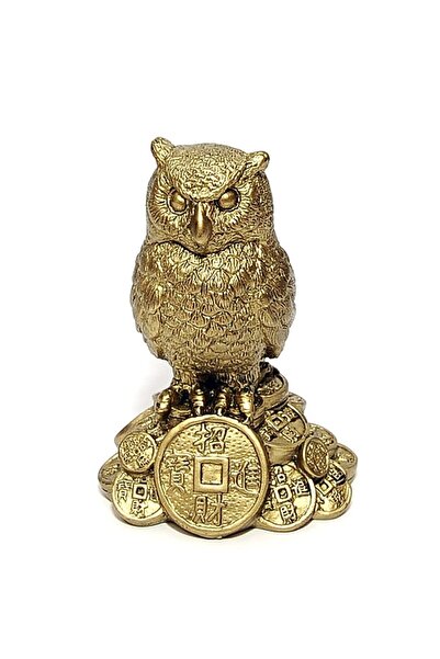 Feng Shui Bufnita pe monede