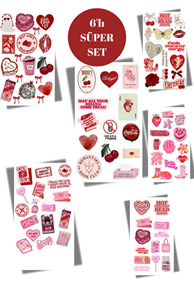elviano 6'LI KIRMIZI ESTETİK STİCKER SET AJANDAYA UYGUN
