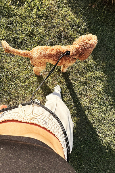 PETSWUU Ayarlanabilir Köpek Göğüs Tasması