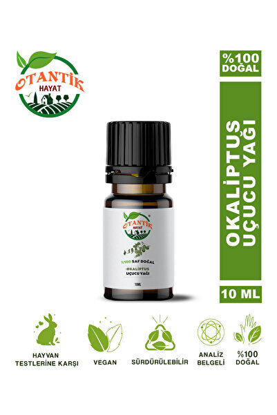 Okaliptus Uçucu Yağı