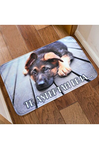 POEM.RO Funny mat - We are already waiting for you