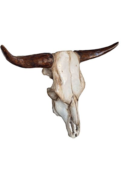 OEM Decoratiune perete craniu taur ,marime mare 70x52 cm