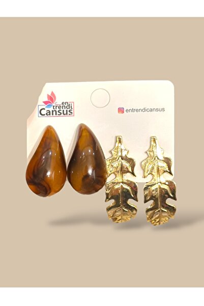 Entrendi Cansus مجموعة أقراط من الفولاذ