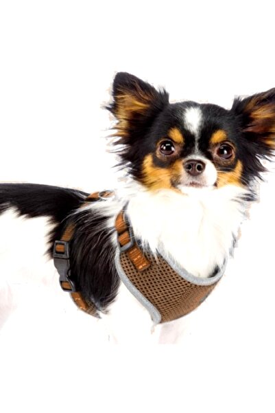 All Ham pentru câini de talie mică cu elemente reflectorizante, confortabil, mărimea XXS, culoarea maro, AniOne Germania