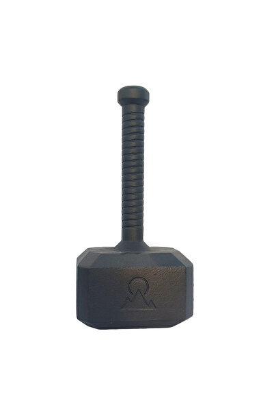 horizon king Hammer Kettlebell 15 kg