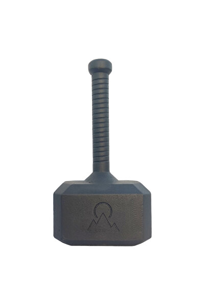 horizon king Hammer Kettlebell 20 kg