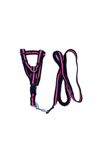 Doty Lesa cu ham Baxter pentru caini de talie medie spre mare, rezistenta, ajustabila, amortizor, 125 cm,