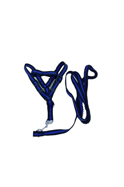 Doty Lesa cu ham Baxter pentru caini de talie mica, 125 cm, albastru/negru,