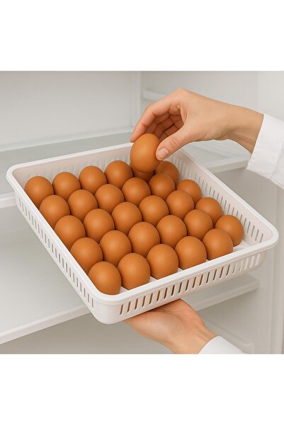 Bee Home Plastik Yumurta Saklama Kabı 30 Bölmeli (AK-681) GKH
