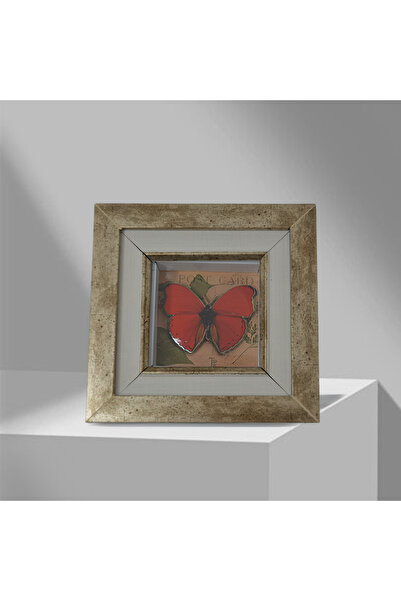 Rolyaf tasarım merkezi Kelebek Desenli Rölyef Duvar Aksesuarı