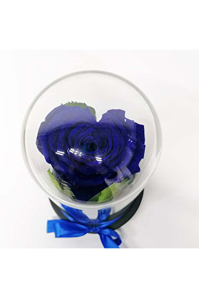 velve Cupola cu Trandafir Criogenat in forma de Inima Cupidon, Albastru, Albastru