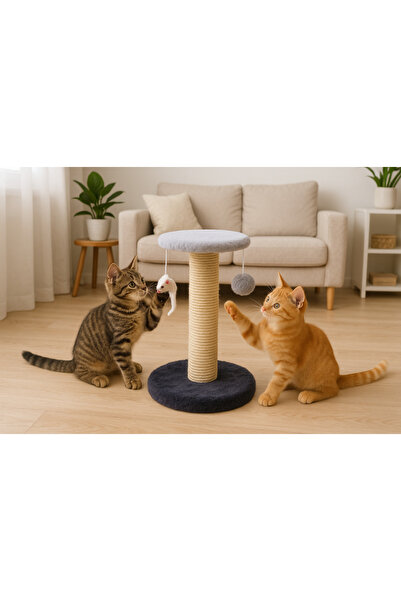 zola Sharp claw holder and 2 cat toys, Zola, pole, ball, mouse toy, gray