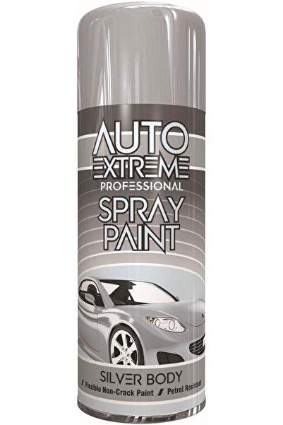 Auto Extreme Eliz Professional Silver Gloss Body Spray Paint 400ml