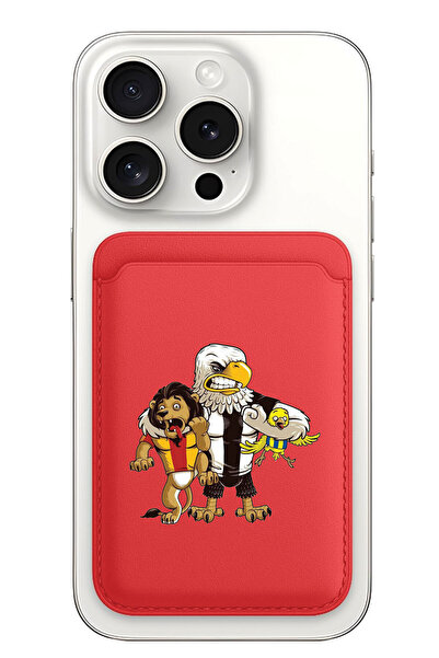 Cekuonline iPhone 11 12 13 14 15 16 17 Pro Max Plus Air Magsafe Mıknatıslı Kı...