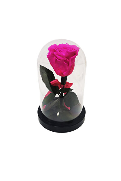 velve Trandafir criogenat cu funda, in cupola de plastic, pe blat negru, roz,...