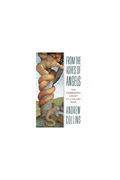 Bear & Company From the Ashes of Angels: The Forbidden Legacy of a Fallen Race