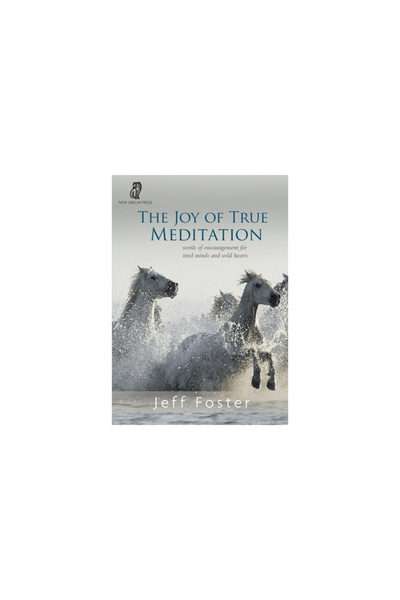 Non Duality Pr The joy of True Meditation: Words of Encouragement for Tired M...
