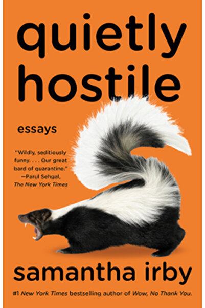 Vintage Quietly Hostile: Essays