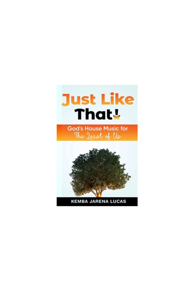 Lulu Pr Just Like That!: God's House Music Lesson for The Least of Us