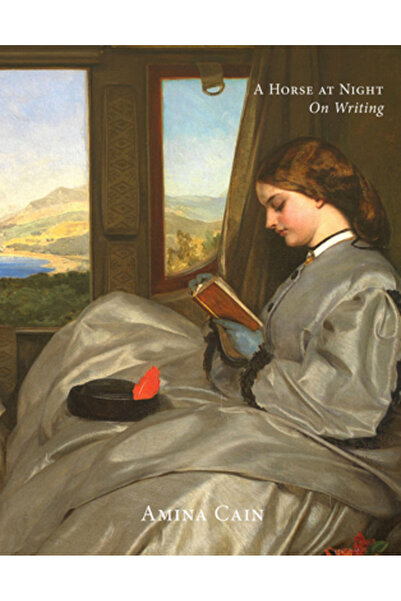 Dorothy A Pub Project A Horse at Night: On Writing