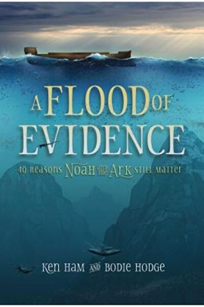 Spons Architecture Price A Flood of Evidence: 40 Reasons Noah and the Ark Sti...