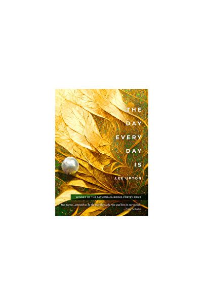 Saturnalia Books The Day Every Day Is
