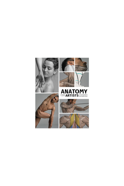 3D Total Pub Anatomy for Artists: A Visual Guide to the Human Form
