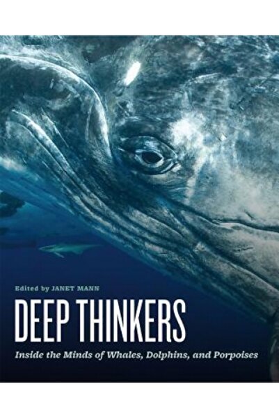 Univ Of Chicago Pr Deep Thinkers: Inside the Minds of Whales, Dolphins, and P...