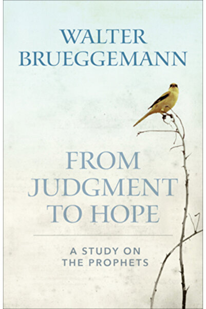 Westminster Pr From Judgment to Hope: A Study on the Prophets