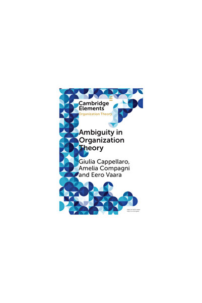 Cambridge Ambiguity in Organization Theory: From Intrinsic to Strategic Persp...