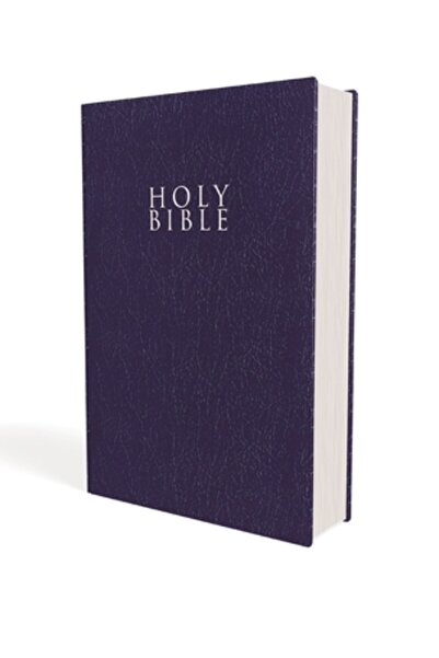 Zondervan Pub House Niv, Gift and Award Bible, Leather-Look, Blue, Red Letter...