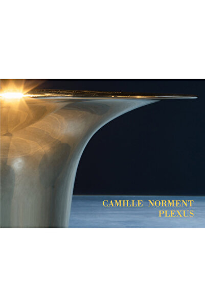 Dia Art Found Camille Norment: Plexus