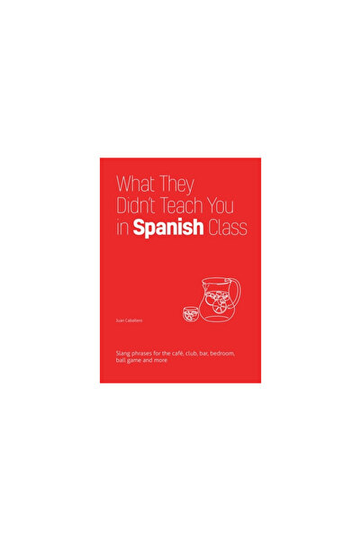 Ulysses Pr What They Didn't Teach You in Spanish Class: Slang Phrases for the Cafe, Club, Bar, Bedroom, Ball Ga