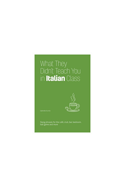 Ulysses Pr What They Didn't Teach You in Italian Class: Slang Phrases for the Cafe, Club, Bar, Bedroom, Ball Ga