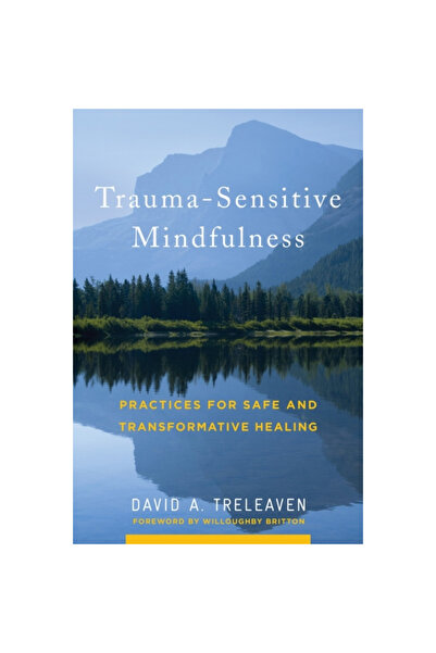 W W Norton & Co Inc Trauma-Sensitive Mindfulness: Practices for Safe and Tran...