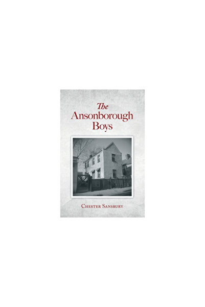 Vertel Pub The Ansonborough Boys