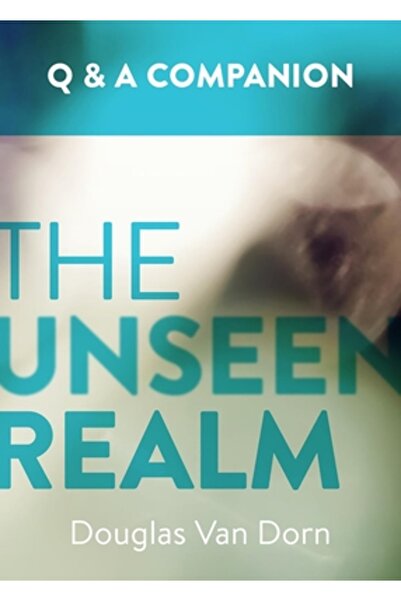 W W Norton & Co Inc Unseen Realm: A Question and Answer Companion