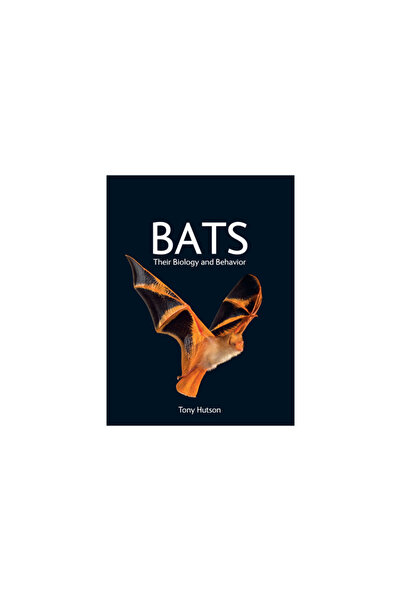 Comstock Pub Bats: Their Biology and Behavior