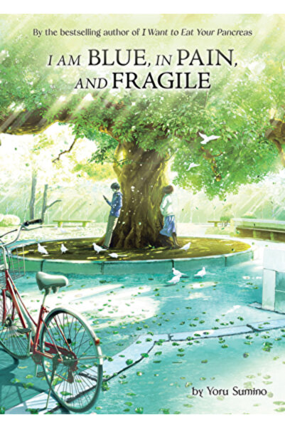 Airship I Am Blue, in Pain, and Fragile (Light Novel)