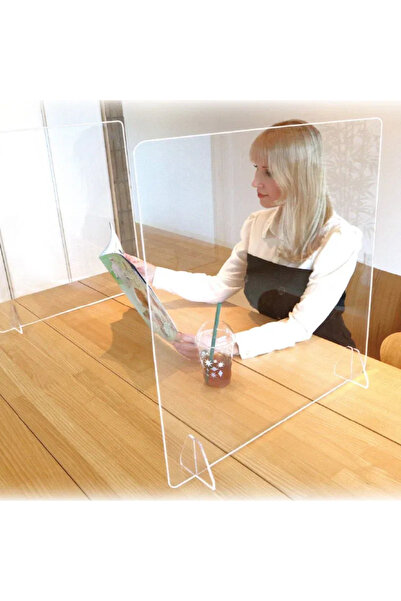 CARBOY Panou din acrilic, pentru protectie, 60 x 60 cm, FM-113