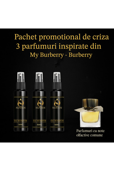 Nuvien Set of 3 Perfumes 50ml – Inspired by My Burbery B.