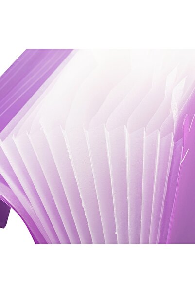 Bigpoint Lotte Gusseted File with 13 Pockets Elasticated A4 Transparent Pink