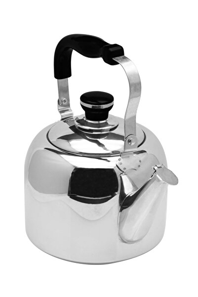 RAJ غلاية شاي فولاذية سعة 2.0 لتر