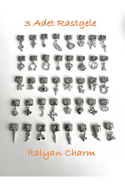 Fynbos 3 Pcs Random Stainless Steel 9mm Italian Charm Bracelet Compatible Dangle Charm