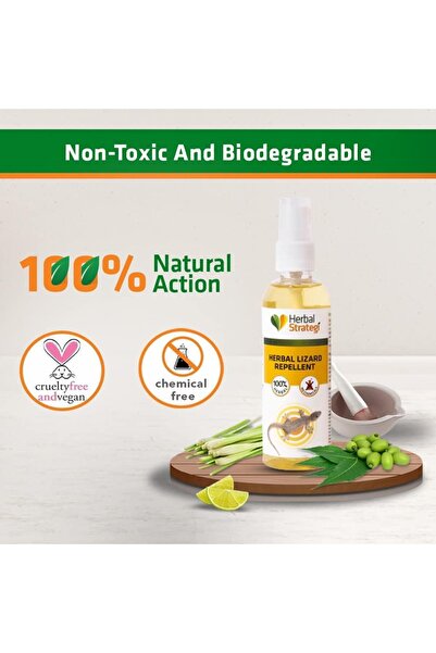 STRATEGI Herbal Lizard Repellent