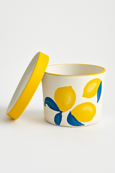 Narizen Home El Yapımı Seramik Saksı – Limon Desenli, Tabağıyla Birlikte