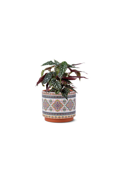 sultan garden center Oriental Style Ceramic Pot